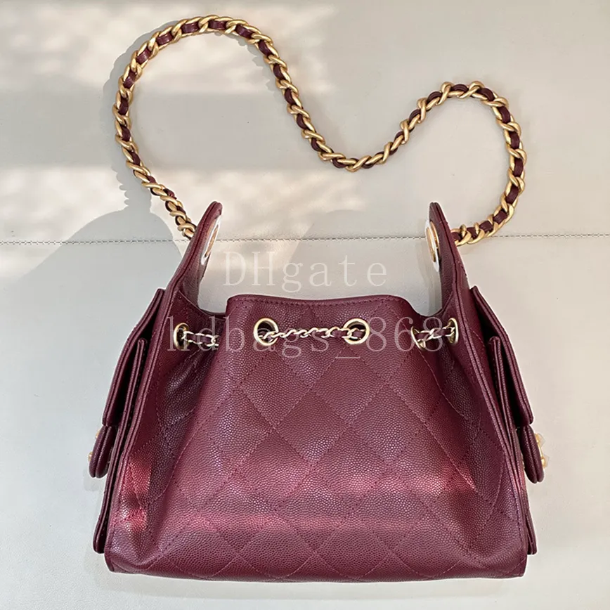Mirror quality 25 Mini Hobo ba - مراجعة Luxury Bags In وسعره